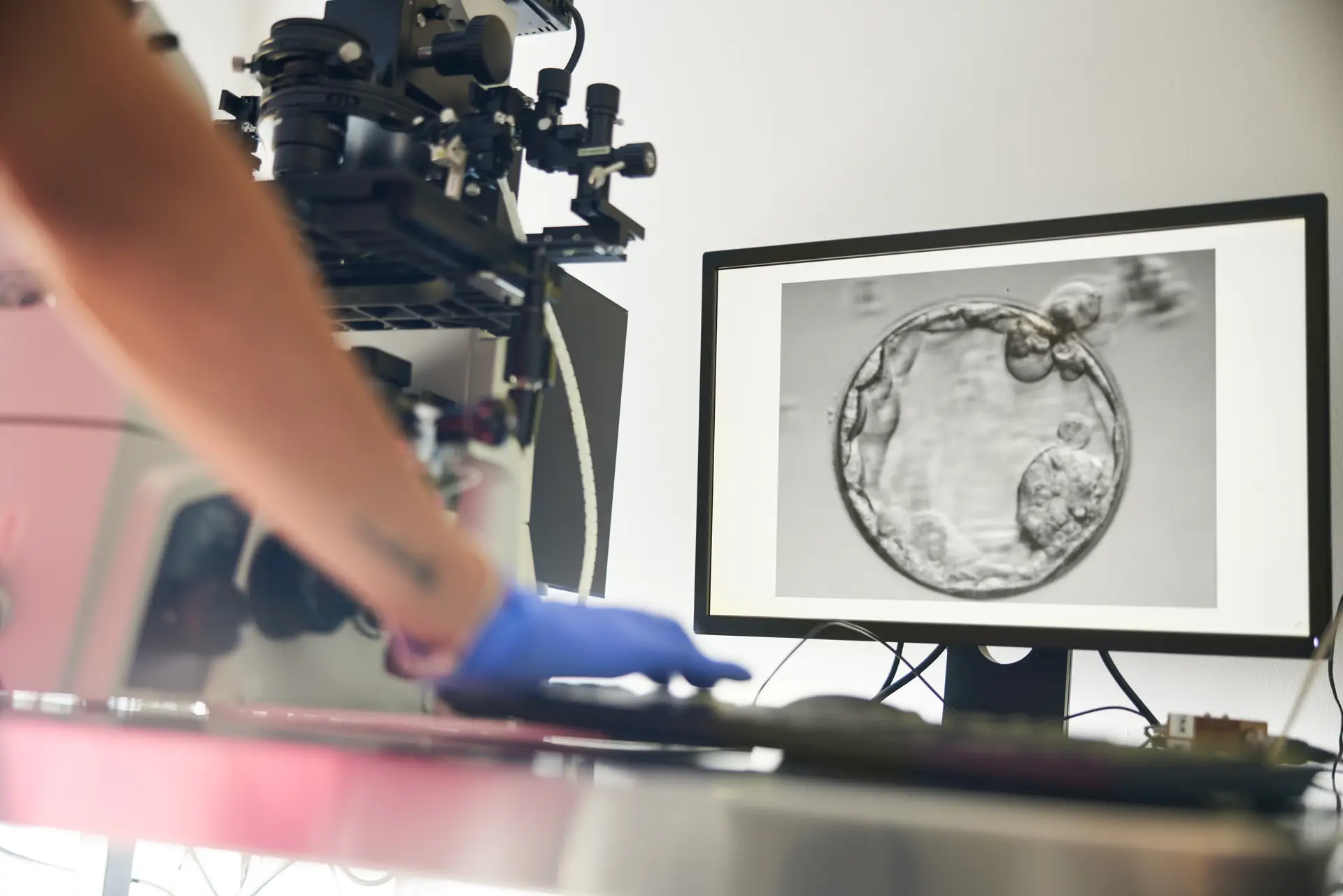 Embryologist at the microscope in the EPIA laboratory